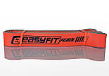 Двошарова резинка для підтягування EasyFit Premium 25-45 кг, фото 2