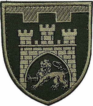 Шеврон 125 окрема бригада ТрО (Львівська область) олива