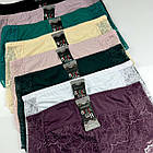 Ажурні жіночі трусики #9916 Biweier Мікс, фото 2