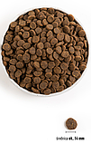 ACANA Singles Yorkshire Pork 1  кг, фото 3