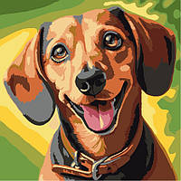 Картина по номерам 30*30см Такса