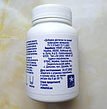 Натуральний сорбент Мінерол Minerol 100г, фото 2