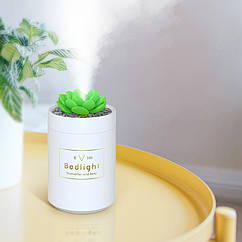 Зволожувач повітря 330 мл Bedlight з підсвічуванням. Ультразвуковий зволожувач повітря Кактус локальний