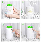 Зволожувач повітря 330 мл Bedlight з підсвічуванням. Ультразвуковий зволожувач повітря Кактус локальний, фото 3