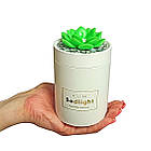 Зволожувач повітря 330 мл Bedlight з підсвічуванням. Ультразвуковий зволожувач повітря Кактус локальний, фото 2