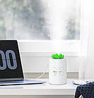 Зволожувач повітря 330 мл Bedlight з підсвічуванням. Ультразвуковий зволожувач повітря Кактус локальний, фото 4