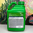 Фунгіцид Артіс Плюс (ALFA Smart Agro) 5л, фото 3
