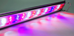 Світильник SunSun SL- 600, RWB, 12 Вт. Світлодіодний світильник на ніжках, фото 3