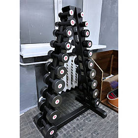 Стійка з набором гантелей 10 пар від 1 до 10 кг Професійні гантельні ряди для залу.