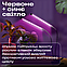 Фітолампа світлодіодна для росту рослин розсади 2 лампи з таймером 3 колірні режими на прищіпці USB, фото 8
