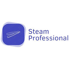 Професійні вирівнювачі Steam Professional