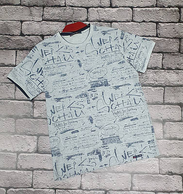 Футболка Red-Down чоловіча, L, Сірий