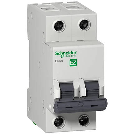 Автоматичний вимикач 25A 4,5kA 2P тип З Easy9 Schneider Electric (EZ9F34225), фото 1