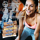 32% Whey Wafer bar (горіх) 12 x 35 g, фото 2