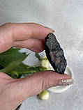 Шерл необроблений натуральний 41*13*26 мм камінь чорний турмалін., фото 5