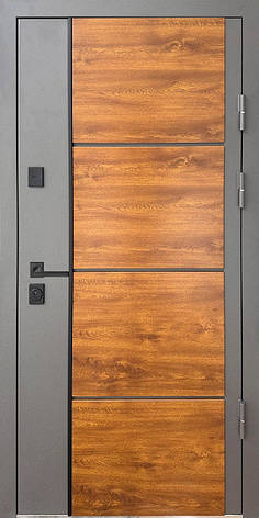 Вхідні двері Magda Тип 4.0.1904.1/146 вулиця Сірий (R021)+Дуб золотий/Емаль біла, фото 1