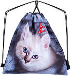 Комплект: Шкільний ортопедичний червоний рюкзак для дівчинки SkyName +мішок з котиком +ПОДАРУНОК пенал/ Портфель в школу 1-4 клас, фото 4