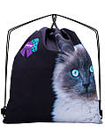 Комплект: Шкільний ортопедичний рюкзак для дівчинки SkyName +мішок з сіамським котиком +ПОДАРУНОК пенал/ Портфель в школу 1-4 клас, фото 5