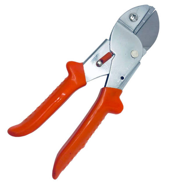 Жыныстық әйел