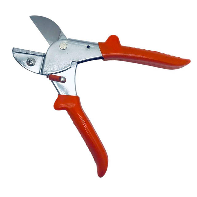 Жастардың шынайы жыныстық қатынасы