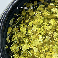 Гель с сухоцветами Saga - Flower Fairy Gel 03, 5 мл., для маникюра, гель-лак.