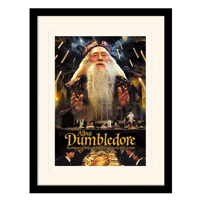 Постер у рамі "Harry Potter (Dumbledore)" 30 x 40 см