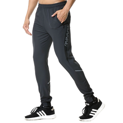 Спортивні штани чоловічі Running FELICON сірий