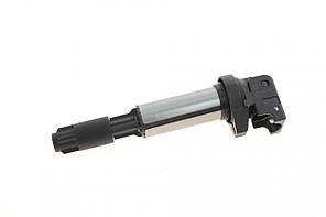 Котушка запалювання BMW X3 (E83) X5 (E53 E70) 2.0-4.4 N46 N52 N55 N62 04-13 (Delphi GN10210-12B1)