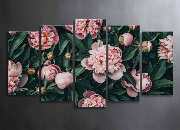 Модульна Картина з 5 Частин Великі Рожеві Півонії Декор на Стіну з Півонія Квіти в Саду Картина з Квітами VE, фото 1