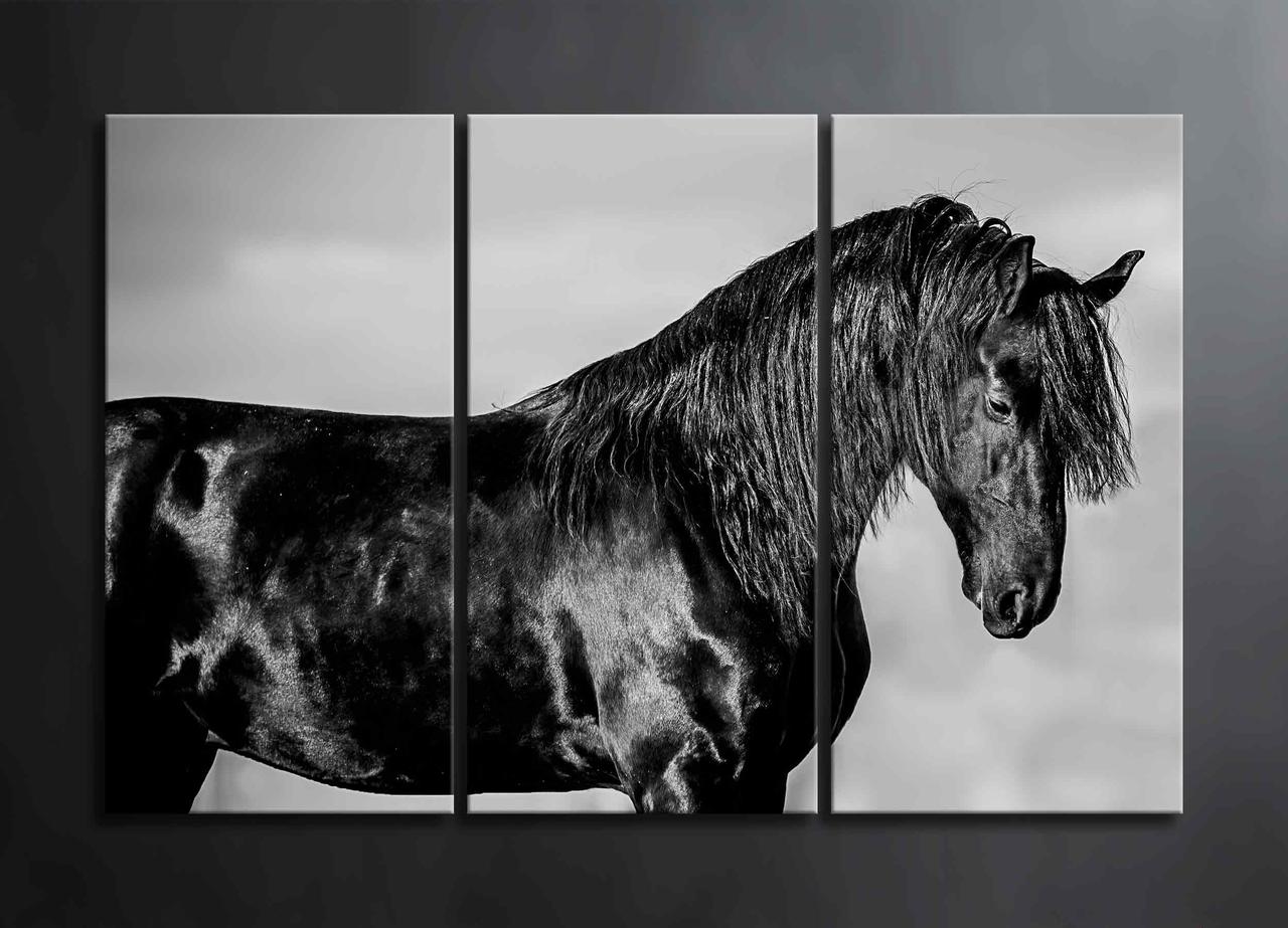 Модульна Картина Чорний Кінь Декор на Стіну з Тваринним Чорний Кінь Чорно-біла Картина VE