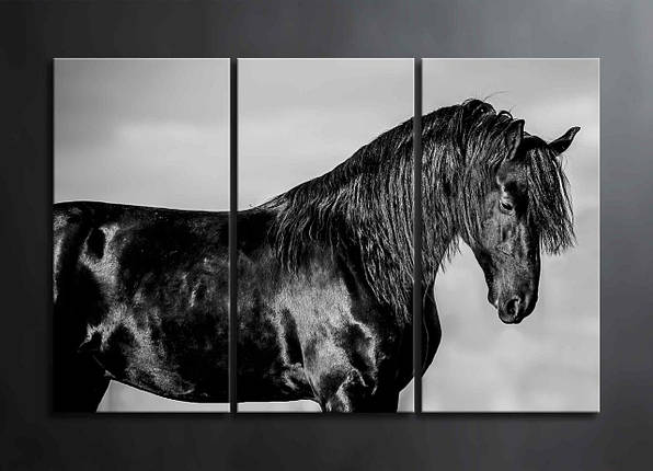 Модульна Картина Чорний Кінь Декор на Стіну з Тваринним Чорний Кінь Чорно-біла Картина VE, фото 1