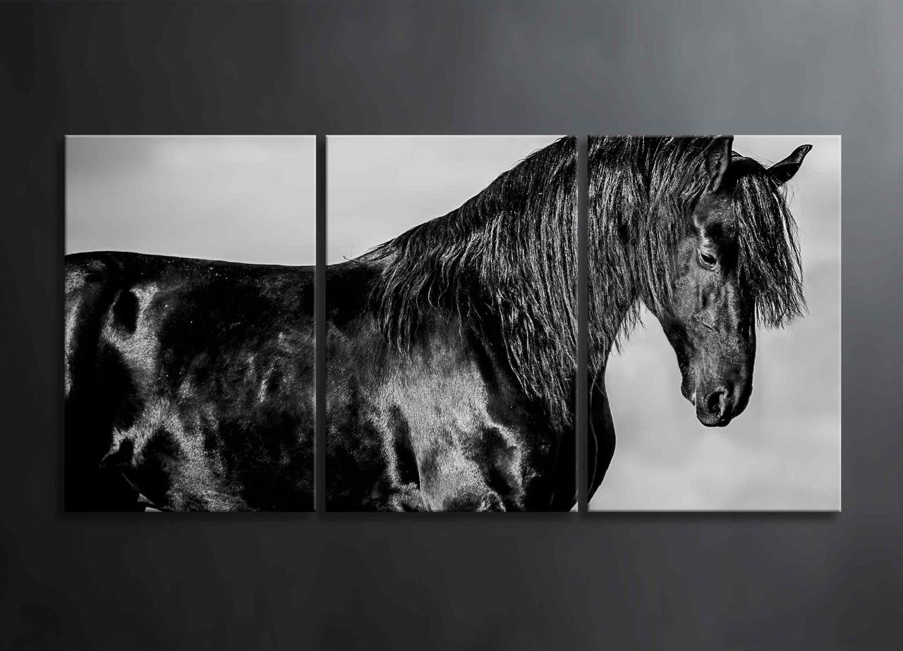 Модульна Картина Чорний Кінь Декор на Стіну з 3 частин з Тваринами Чорний Кінь Чорно-біла Картина VE