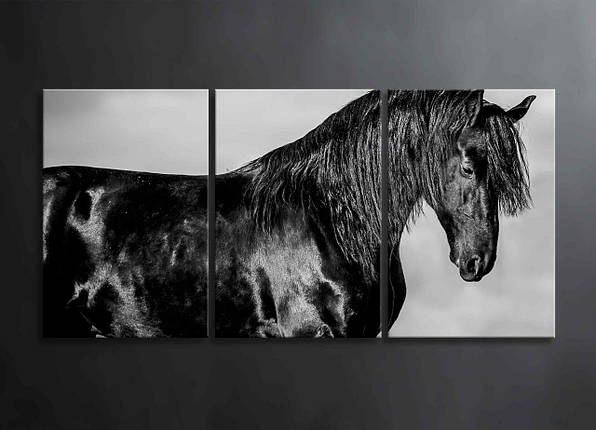 Модульна Картина Чорний Кінь Декор на Стіну з 3 частин з Тваринами Чорний Кінь Чорно-біла Картина VE, фото 1