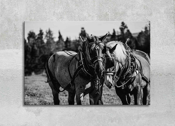 Чорно-біла Картина з Конями Декор на Стіну Дві Коні Картина з Тваринами Креативне Настінне Мистецтво VE, фото 1