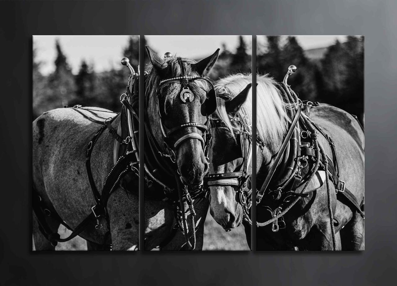 Чорно-біла Картина з Конями Декор на Стіну з 3 частин Дві Коні Картина з Тваринами Креативне Мистецтво VE