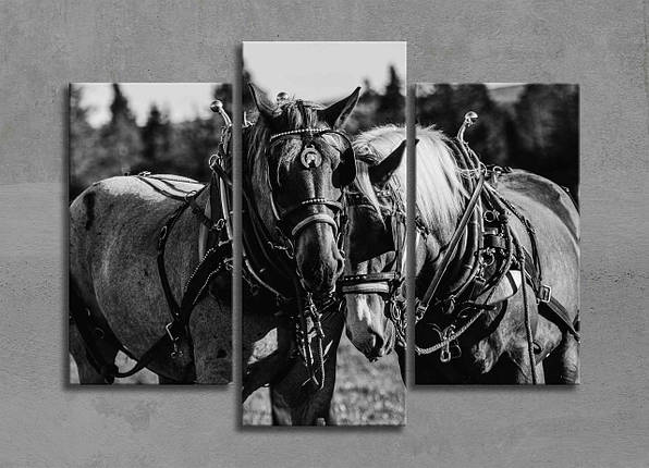 Чорно-біла Модульна Картина з Конями Декор на Стіну з 3 частин Дві Коні Картина з Тваринами Креатив VE, фото 1