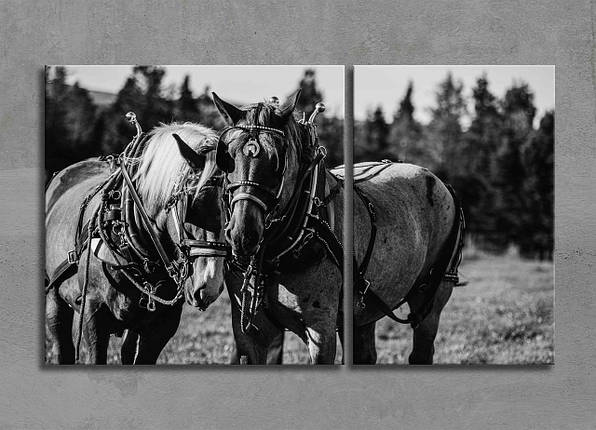 Чорно-біла Картина з Конями Декор на Стіну з 2 частин Дві Коні Картина з Тваринами Креативне Мистецтво, фото 1
