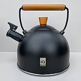 Чайник з нержавіючої сталі Ringel IQ Be Natural 2,5 л IQ-1001 Black, фото 3