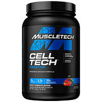 MuscleTech Cell-Tech Creatine 1130g (IRL)