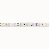 Світлодіодна стрічка Venom SMD 5630 60д.м. (IP65) Standart Білий, фото 3