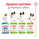 Акція! Іграшка у подарунок! Сухий корм Royal Canin X-Small (Роял Канін Ікс Смол) для собак, 1,5КГ, фото 4