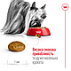 Акція! Сухий корм Royal Canin X-Small для собак мініатюрних порід, 1.5 КГ + діспенсер для пакетів у подарунок!, фото 7