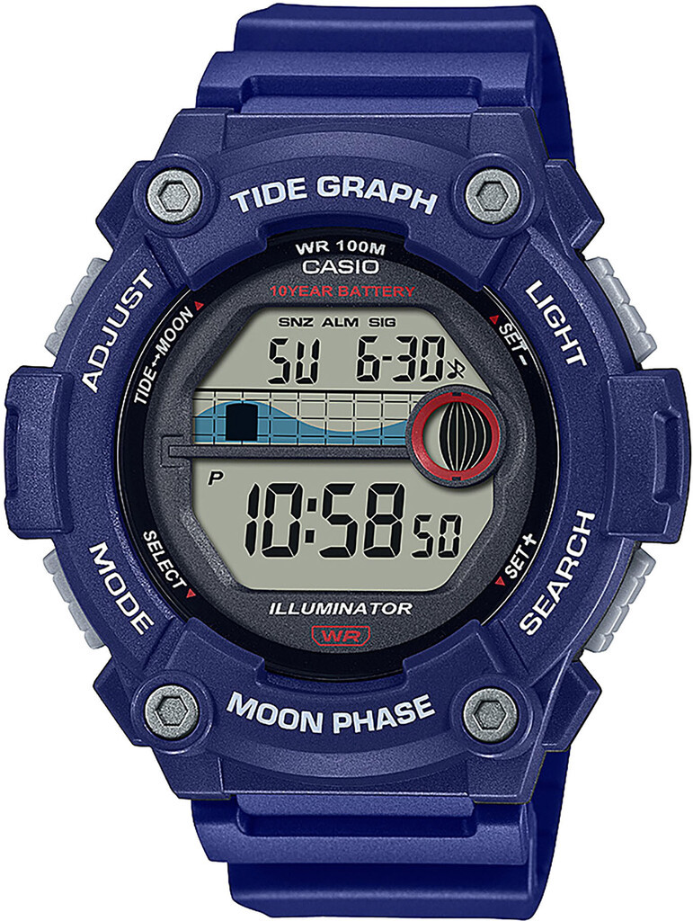 Часы CASIO WS-1300H-2AVEF