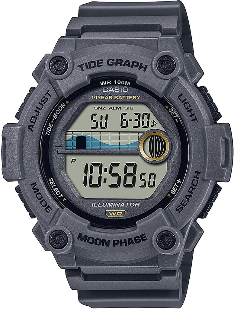 Часы CASIO WS-1300H-8AVEF
