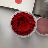Сухий водорозчинний червоний барвник - Понсо 4R (E124), 20 гр., фото 2