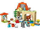 LEGO Конструктор DUPLO Town Догляд за тваринами на фермі, фото 6