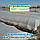 Агроволокно 50г 1,07*50 Біле Херсонський Стандарт, фото 4