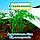 Агроволокно 23г 3,20*50 Біле Херсонський Стандарт, фото 5