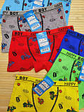Боксери "HAPPY BOY" для хлопчиків 6 років; Опт, фото 2