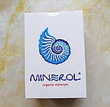 Натуральний сорбент Мінерол Minerol 100г, фото 5